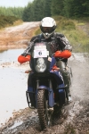 r1to19