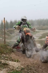 am250to299