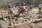 PM Race Rider numbers 50 to 99