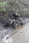 quads