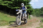 030710ryedalerally