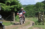 2010