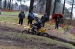 280210muntjac