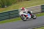 anglesey;brands-hatch;cadwell-park;croft;donington-park;enduro-digital-images;event-digital-images;eventdigitalimages;mallory;no-limits;oulton-park;peter-wileman-photography;racing-digital-images;silverstone;snetterton;trackday-digital-images;trackday-photos;vmcc-banbury-run;welsh-2-day-enduro