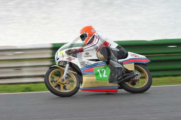 anglesey;brands hatch;cadwell park;croft;donington park;enduro digital images;event digital images;eventdigitalimages;mallory;no limits;oulton park;peter wileman photography;racing digital images;silverstone;snetterton;trackday digital images;trackday photos;vmcc banbury run;welsh 2 day enduro