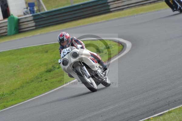anglesey;brands hatch;cadwell park;croft;digital images;donington park;enduro;enduro digital images;event;event digital images;eventdigitalimages;mallory park;no limits;oulton park;peter wileman photography;racing;racing digital images;silverstone;snetterton;trackday;trackday digital images;trackday photos;vintage;vmcc banbury run;welsh 2 day enduro