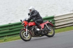 anglesey;brands-hatch;cadwell-park;croft;digital-images;donington-park;enduro;enduro-digital-images;event;event-digital-images;eventdigitalimages;mallory-park;no-limits;oulton-park;peter-wileman-photography;racing;racing-digital-images;silverstone;snetterton;trackday;trackday-digital-images;trackday-photos;vintage;vmcc-banbury-run;welsh-2-day-enduro