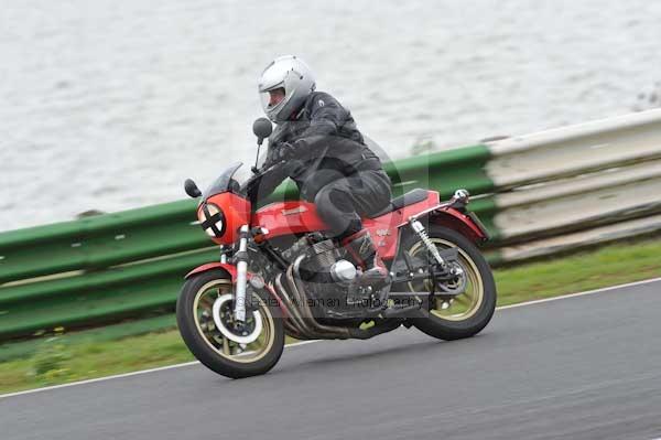 anglesey;brands hatch;cadwell park;croft;digital images;donington park;enduro;enduro digital images;event;event digital images;eventdigitalimages;mallory park;no limits;oulton park;peter wileman photography;racing;racing digital images;silverstone;snetterton;trackday;trackday digital images;trackday photos;vintage;vmcc banbury run;welsh 2 day enduro