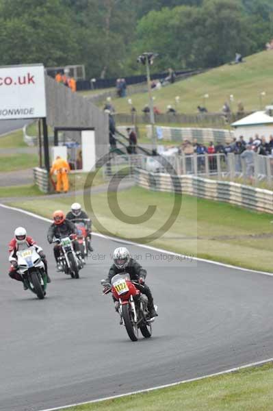 anglesey;brands hatch;cadwell park;croft;digital images;donington park;enduro;enduro digital images;event;event digital images;eventdigitalimages;mallory park;no limits;oulton park;peter wileman photography;racing;racing digital images;silverstone;snetterton;trackday;trackday digital images;trackday photos;vintage;vmcc banbury run;welsh 2 day enduro