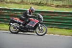 anglesey;brands-hatch;cadwell-park;croft;digital-images;donington-park;enduro;enduro-digital-images;event;event-digital-images;eventdigitalimages;mallory-park;no-limits;oulton-park;peter-wileman-photography;racing;racing-digital-images;silverstone;snetterton;trackday;trackday-digital-images;trackday-photos;vintage;vmcc-banbury-run;welsh-2-day-enduro