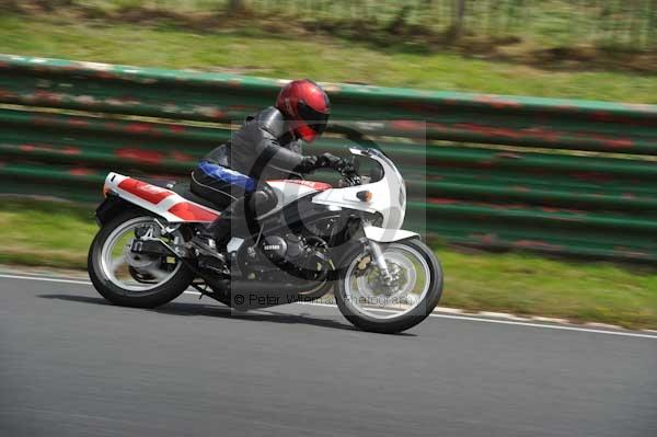 anglesey;brands hatch;cadwell park;croft;digital images;donington park;enduro;enduro digital images;event;event digital images;eventdigitalimages;mallory park;no limits;oulton park;peter wileman photography;racing;racing digital images;silverstone;snetterton;trackday;trackday digital images;trackday photos;vintage;vmcc banbury run;welsh 2 day enduro