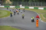anglesey;brands-hatch;cadwell-park;croft;digital-images;donington-park;enduro;enduro-digital-images;event;event-digital-images;eventdigitalimages;mallory-park;no-limits;oulton-park;peter-wileman-photography;racing;racing-digital-images;silverstone;snetterton;trackday;trackday-digital-images;trackday-photos;vintage;vmcc-banbury-run;welsh-2-day-enduro