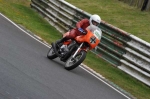 anglesey;brands-hatch;cadwell-park;croft;digital-images;donington-park;enduro;enduro-digital-images;event;event-digital-images;eventdigitalimages;mallory-park;no-limits;oulton-park;peter-wileman-photography;racing;racing-digital-images;silverstone;snetterton;trackday;trackday-digital-images;trackday-photos;vintage;vmcc-banbury-run;welsh-2-day-enduro