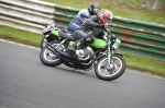 anglesey;brands-hatch;cadwell-park;croft;digital-images;donington-park;enduro;enduro-digital-images;event;event-digital-images;eventdigitalimages;mallory-park;no-limits;oulton-park;peter-wileman-photography;racing;racing-digital-images;silverstone;snetterton;trackday;trackday-digital-images;trackday-photos;vintage;vmcc-banbury-run;welsh-2-day-enduro
