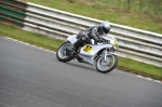 anglesey;brands-hatch;cadwell-park;croft;digital-images;donington-park;enduro;enduro-digital-images;event;event-digital-images;eventdigitalimages;mallory-park;no-limits;oulton-park;peter-wileman-photography;racing;racing-digital-images;silverstone;snetterton;trackday;trackday-digital-images;trackday-photos;vintage;vmcc-banbury-run;welsh-2-day-enduro