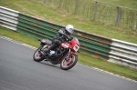 anglesey;brands-hatch;cadwell-park;croft;digital-images;donington-park;enduro;enduro-digital-images;event;event-digital-images;eventdigitalimages;mallory-park;no-limits;oulton-park;peter-wileman-photography;racing;racing-digital-images;silverstone;snetterton;trackday;trackday-digital-images;trackday-photos;vintage;vmcc-banbury-run;welsh-2-day-enduro