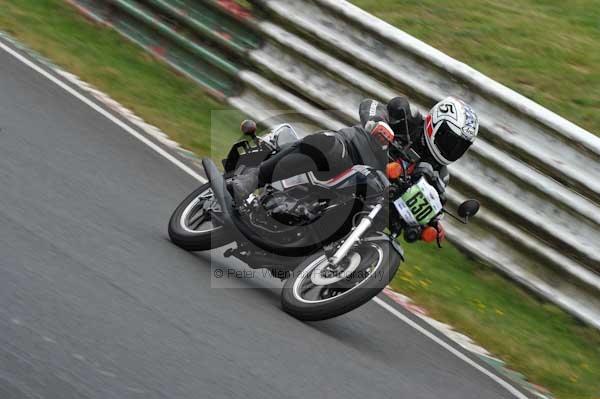 anglesey;brands hatch;cadwell park;croft;digital images;donington park;enduro;enduro digital images;event;event digital images;eventdigitalimages;mallory park;no limits;oulton park;peter wileman photography;racing;racing digital images;silverstone;snetterton;trackday;trackday digital images;trackday photos;vintage;vmcc banbury run;welsh 2 day enduro