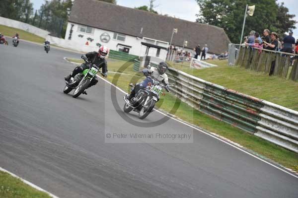 anglesey;brands hatch;cadwell park;croft;digital images;donington park;enduro;enduro digital images;event;event digital images;eventdigitalimages;mallory park;no limits;oulton park;peter wileman photography;racing;racing digital images;silverstone;snetterton;trackday;trackday digital images;trackday photos;vintage;vmcc banbury run;welsh 2 day enduro