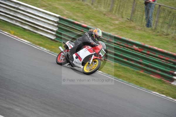 anglesey;brands hatch;cadwell park;croft;digital images;donington park;enduro;enduro digital images;event;event digital images;eventdigitalimages;mallory park;no limits;oulton park;peter wileman photography;racing;racing digital images;silverstone;snetterton;trackday;trackday digital images;trackday photos;vintage;vmcc banbury run;welsh 2 day enduro