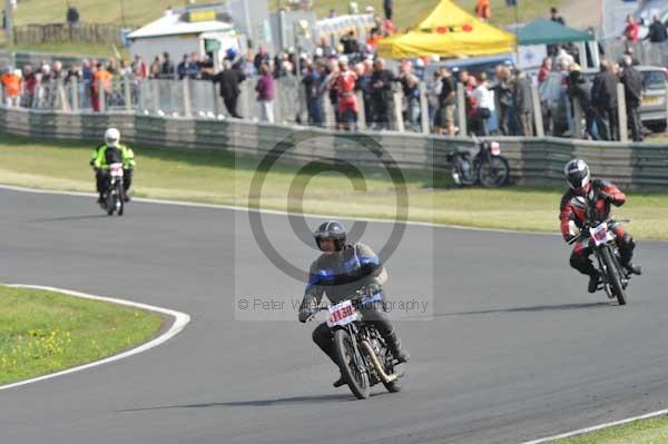 anglesey;brands hatch;cadwell park;croft;digital images;donington park;enduro;enduro digital images;event;event digital images;eventdigitalimages;mallory park;no limits;oulton park;peter wileman photography;racing;racing digital images;silverstone;snetterton;trackday;trackday digital images;trackday photos;vintage;vmcc banbury run;welsh 2 day enduro