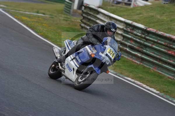 anglesey;brands hatch;cadwell park;croft;digital images;donington park;enduro;enduro digital images;event;event digital images;eventdigitalimages;mallory park;no limits;oulton park;peter wileman photography;racing;racing digital images;silverstone;snetterton;trackday;trackday digital images;trackday photos;vintage;vmcc banbury run;welsh 2 day enduro