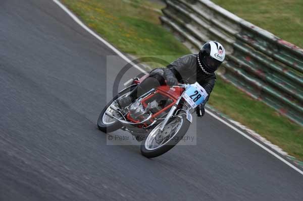 anglesey;brands hatch;cadwell park;croft;digital images;donington park;enduro;enduro digital images;event;event digital images;eventdigitalimages;mallory park;no limits;oulton park;peter wileman photography;racing;racing digital images;silverstone;snetterton;trackday;trackday digital images;trackday photos;vintage;vmcc banbury run;welsh 2 day enduro