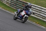 anglesey;brands-hatch;cadwell-park;croft;digital-images;donington-park;enduro;enduro-digital-images;event;event-digital-images;eventdigitalimages;mallory-park;no-limits;oulton-park;peter-wileman-photography;racing;racing-digital-images;silverstone;snetterton;trackday;trackday-digital-images;trackday-photos;vintage;vmcc-banbury-run;welsh-2-day-enduro
