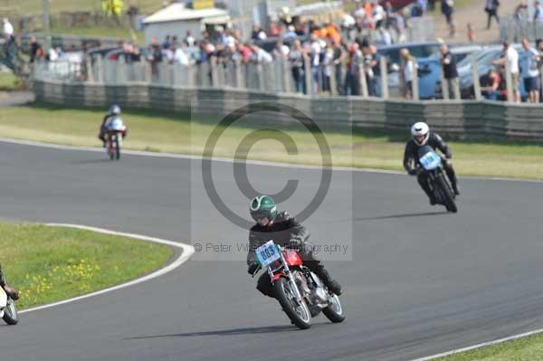 anglesey;brands hatch;cadwell park;croft;digital images;donington park;enduro;enduro digital images;event;event digital images;eventdigitalimages;mallory park;no limits;oulton park;peter wileman photography;racing;racing digital images;silverstone;snetterton;trackday;trackday digital images;trackday photos;vintage;vmcc banbury run;welsh 2 day enduro