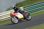 anglesey;brands-hatch;cadwell-park;croft;digital-images;donington-park;enduro;enduro-digital-images;event;event-digital-images;eventdigitalimages;mallory-park;no-limits;oulton-park;peter-wileman-photography;racing;racing-digital-images;silverstone;snetterton;trackday;trackday-digital-images;trackday-photos;vintage;vmcc-banbury-run;welsh-2-day-enduro