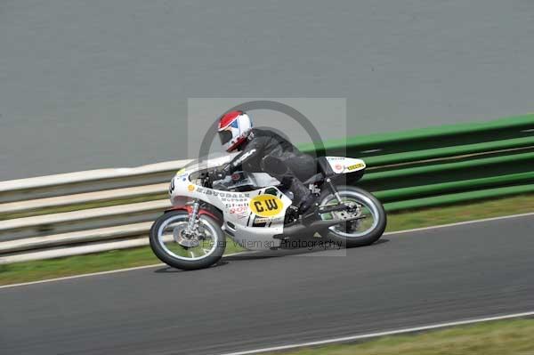 anglesey;brands hatch;cadwell park;croft;digital images;donington park;enduro;enduro digital images;event;event digital images;eventdigitalimages;mallory park;no limits;oulton park;peter wileman photography;racing;racing digital images;silverstone;snetterton;trackday;trackday digital images;trackday photos;vintage;vmcc banbury run;welsh 2 day enduro