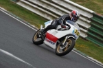 anglesey;brands-hatch;cadwell-park;croft;digital-images;donington-park;enduro;enduro-digital-images;event;event-digital-images;eventdigitalimages;mallory-park;no-limits;oulton-park;peter-wileman-photography;racing;racing-digital-images;silverstone;snetterton;trackday;trackday-digital-images;trackday-photos;vintage;vmcc-banbury-run;welsh-2-day-enduro
