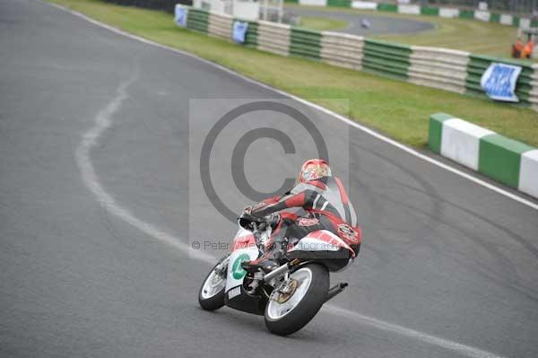 anglesey;brands hatch;cadwell park;croft;digital images;donington park;enduro;enduro digital images;event;event digital images;eventdigitalimages;mallory park;no limits;oulton park;peter wileman photography;racing;racing digital images;silverstone;snetterton;trackday;trackday digital images;trackday photos;vintage;vmcc banbury run;welsh 2 day enduro