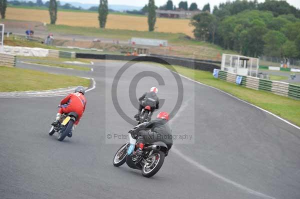 anglesey;brands hatch;cadwell park;croft;digital images;donington park;enduro;enduro digital images;event;event digital images;eventdigitalimages;mallory park;no limits;oulton park;peter wileman photography;racing;racing digital images;silverstone;snetterton;trackday;trackday digital images;trackday photos;vintage;vmcc banbury run;welsh 2 day enduro