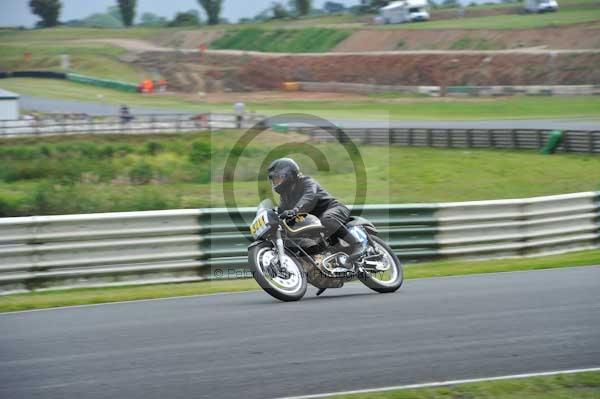 anglesey;brands hatch;cadwell park;croft;donington park;enduro digital images;event digital images;eventdigitalimages;mallory;no limits;oulton park;peter wileman photography;racing digital images;silverstone;snetterton;trackday digital images;trackday photos;vmcc banbury run;welsh 2 day enduro