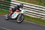 anglesey;brands-hatch;cadwell-park;croft;donington-park;enduro-digital-images;event-digital-images;eventdigitalimages;mallory;no-limits;oulton-park;peter-wileman-photography;racing-digital-images;silverstone;snetterton;trackday-digital-images;trackday-photos;vmcc-banbury-run;welsh-2-day-enduro