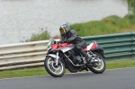 anglesey;brands-hatch;cadwell-park;croft;digital-images;donington-park;enduro;enduro-digital-images;event;event-digital-images;eventdigitalimages;mallory-park;no-limits;oulton-park;peter-wileman-photography;racing;racing-digital-images;silverstone;snetterton;trackday;trackday-digital-images;trackday-photos;vintage;vmcc-banbury-run;welsh-2-day-enduro