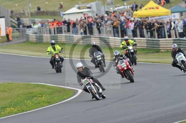 anglesey;brands hatch;cadwell park;croft;digital images;donington park;enduro;enduro digital images;event;event digital images;eventdigitalimages;mallory park;no limits;oulton park;peter wileman photography;racing;racing digital images;silverstone;snetterton;trackday;trackday digital images;trackday photos;vintage;vmcc banbury run;welsh 2 day enduro