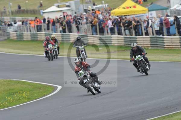 anglesey;brands hatch;cadwell park;croft;digital images;donington park;enduro;enduro digital images;event;event digital images;eventdigitalimages;mallory park;no limits;oulton park;peter wileman photography;racing;racing digital images;silverstone;snetterton;trackday;trackday digital images;trackday photos;vintage;vmcc banbury run;welsh 2 day enduro