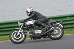 anglesey;brands-hatch;cadwell-park;croft;digital-images;donington-park;enduro;enduro-digital-images;event;event-digital-images;eventdigitalimages;mallory-park;no-limits;oulton-park;peter-wileman-photography;racing;racing-digital-images;silverstone;snetterton;trackday;trackday-digital-images;trackday-photos;vintage;vmcc-banbury-run;welsh-2-day-enduro