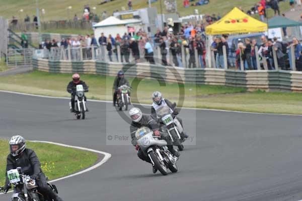 anglesey;brands hatch;cadwell park;croft;digital images;donington park;enduro;enduro digital images;event;event digital images;eventdigitalimages;mallory park;no limits;oulton park;peter wileman photography;racing;racing digital images;silverstone;snetterton;trackday;trackday digital images;trackday photos;vintage;vmcc banbury run;welsh 2 day enduro