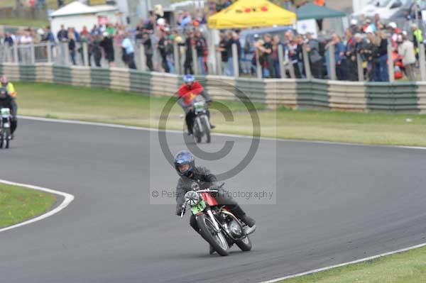 anglesey;brands hatch;cadwell park;croft;digital images;donington park;enduro;enduro digital images;event;event digital images;eventdigitalimages;mallory park;no limits;oulton park;peter wileman photography;racing;racing digital images;silverstone;snetterton;trackday;trackday digital images;trackday photos;vintage;vmcc banbury run;welsh 2 day enduro