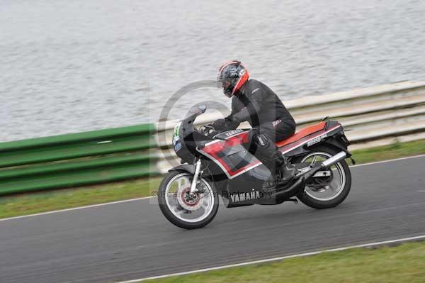 anglesey;brands hatch;cadwell park;croft;digital images;donington park;enduro;enduro digital images;event;event digital images;eventdigitalimages;mallory park;no limits;oulton park;peter wileman photography;racing;racing digital images;silverstone;snetterton;trackday;trackday digital images;trackday photos;vintage;vmcc banbury run;welsh 2 day enduro