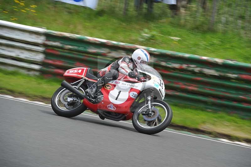 Mallory park Leicestershire;Mallory park photographs;Motorcycle action photographs;classic bikes;event digital images;eventdigitalimages;mallory park;no limits trackday;peter wileman photography;vintage bikes;vintage motorcycles;vmcc festival 1000 bikes