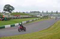 Mallory-park-Leicestershire;Mallory-park-photographs;Motorcycle-action-photographs;classic-bikes;event-digital-images;eventdigitalimages;mallory-park;no-limits-trackday;peter-wileman-photography;vintage-bikes;vintage-motorcycles;vmcc-festival-1000-bikes