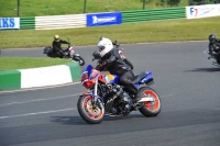 Mallory-park-Leicestershire;Mallory-park-photographs;Motorcycle-action-photographs;classic-bikes;event-digital-images;eventdigitalimages;mallory-park;no-limits-trackday;peter-wileman-photography;vintage-bikes;vintage-motorcycles;vmcc-festival-1000-bikes