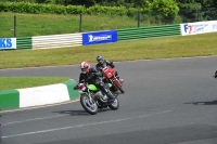 Mallory-park-Leicestershire;Mallory-park-photographs;Motorcycle-action-photographs;classic-bikes;event-digital-images;eventdigitalimages;mallory-park;no-limits-trackday;peter-wileman-photography;vintage-bikes;vintage-motorcycles;vmcc-festival-1000-bikes