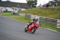 Mallory-park-Leicestershire;Mallory-park-photographs;Motorcycle-action-photographs;classic-bikes;event-digital-images;eventdigitalimages;mallory-park;no-limits-trackday;peter-wileman-photography;vintage-bikes;vintage-motorcycles;vmcc-festival-1000-bikes