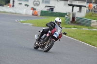 Mallory-park-Leicestershire;Mallory-park-photographs;Motorcycle-action-photographs;classic-bikes;event-digital-images;eventdigitalimages;mallory-park;no-limits-trackday;peter-wileman-photography;vintage-bikes;vintage-motorcycles;vmcc-festival-1000-bikes