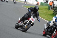 Mallory-park-Leicestershire;Mallory-park-photographs;Motorcycle-action-photographs;classic-bikes;event-digital-images;eventdigitalimages;mallory-park;no-limits-trackday;peter-wileman-photography;vintage-bikes;vintage-motorcycles;vmcc-festival-1000-bikes