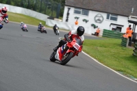 Mallory-park-Leicestershire;Mallory-park-photographs;Motorcycle-action-photographs;classic-bikes;event-digital-images;eventdigitalimages;mallory-park;no-limits-trackday;peter-wileman-photography;vintage-bikes;vintage-motorcycles;vmcc-festival-1000-bikes